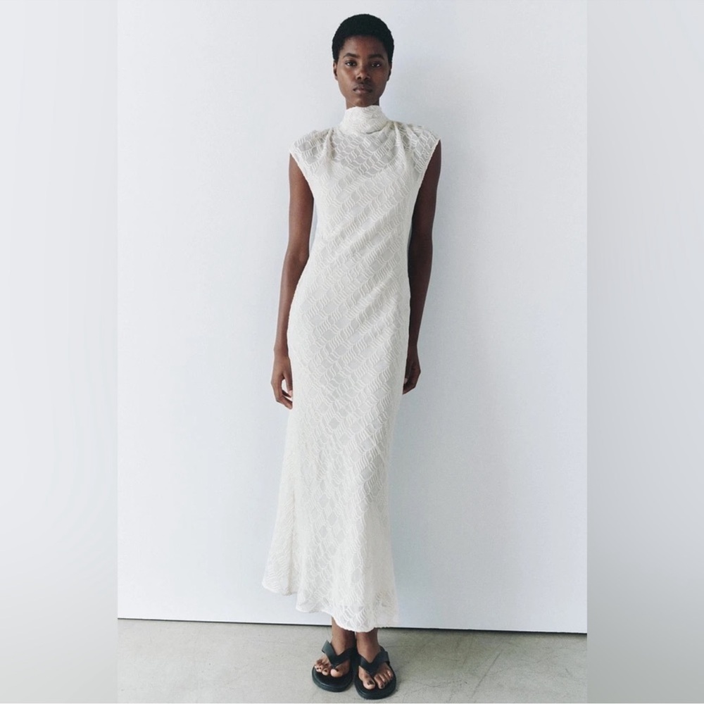 Zara ZW Collection Embroidered Maxi Dress NWT